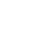 Icon globe