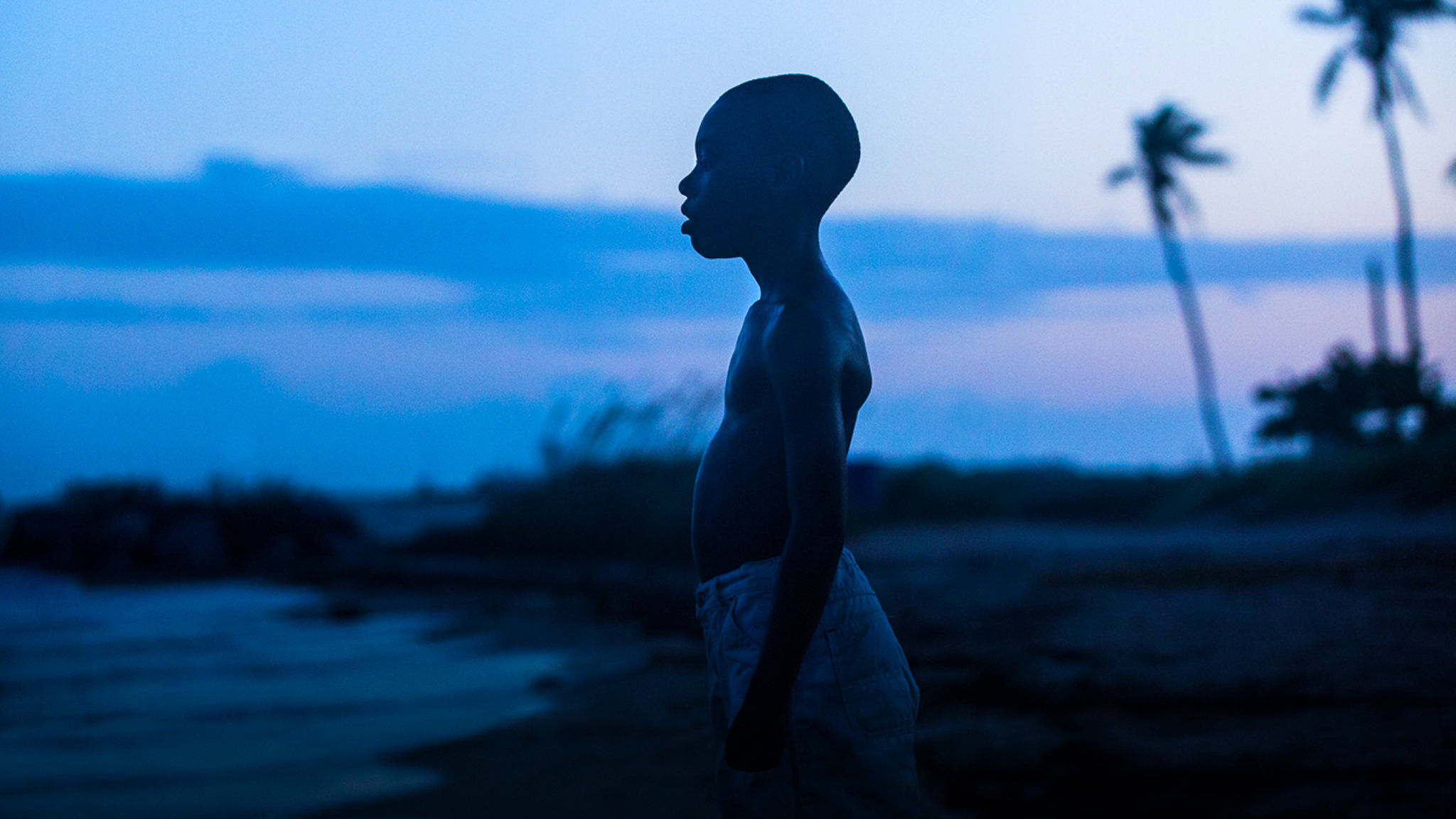 moonlight-netflix