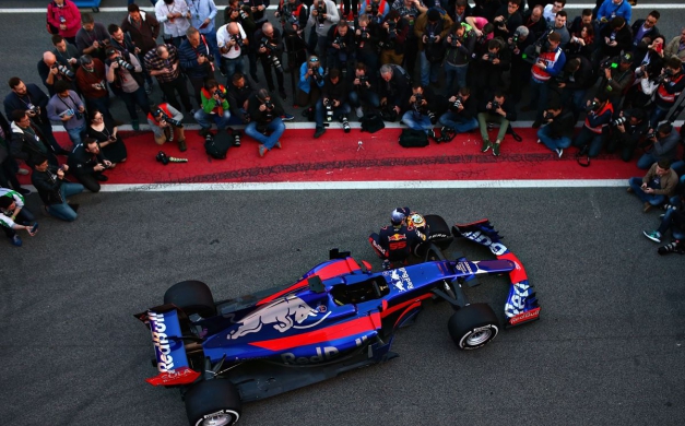 Toro rosso